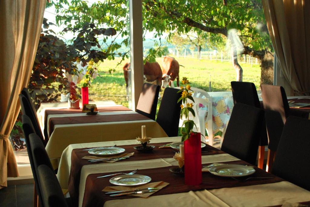 Wellnesshotel Schiesselhof Графенхаузен Номер фото