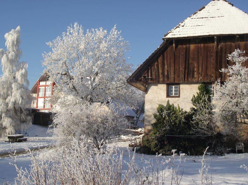 Wellnesshotel Schiesselhof Графенхаузен Экстерьер фото